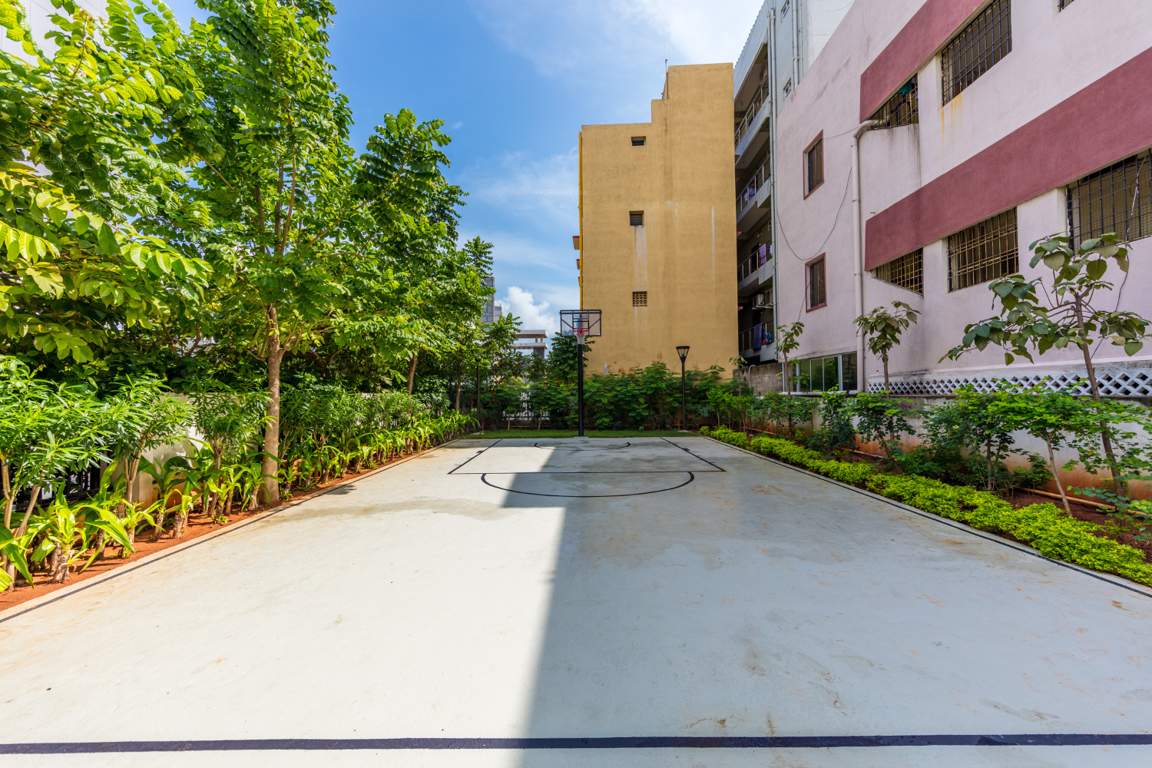  alexandria Images for Amenities of ASV Alexandria