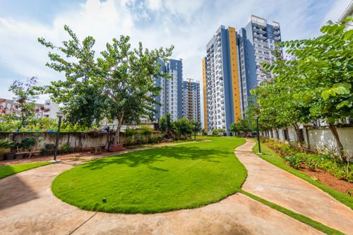  alexandria Images for Amenities of ASV Alexandria