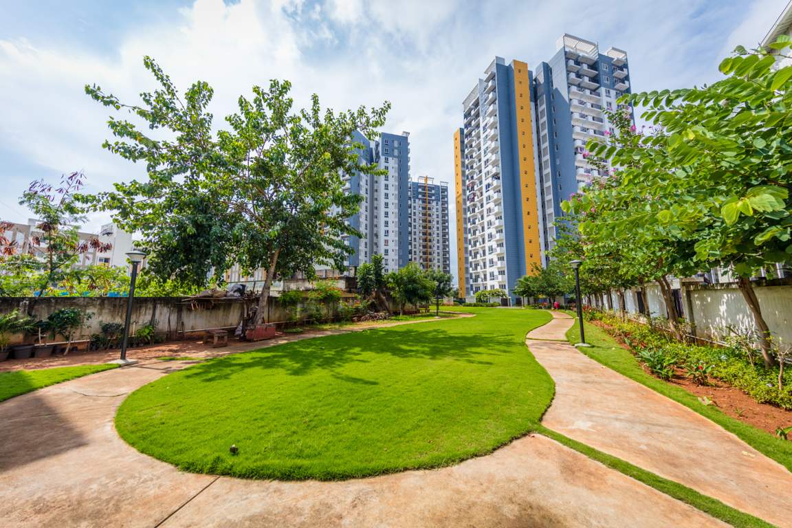  alexandria Images for Amenities of ASV Alexandria