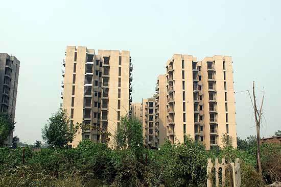  gpm blossom greens Elevation