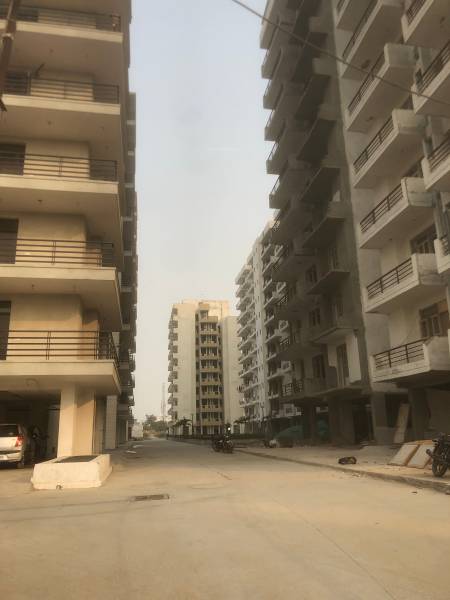  gpm-blossom-greens Images for Project