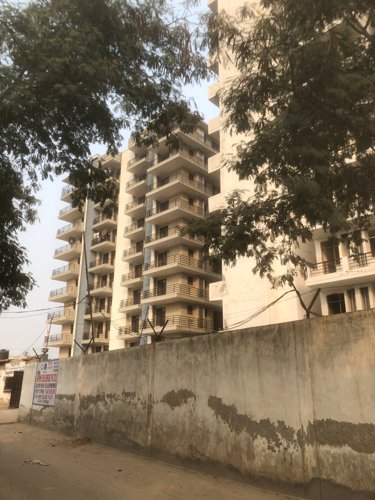  gpm-blossom-greens Images for Project