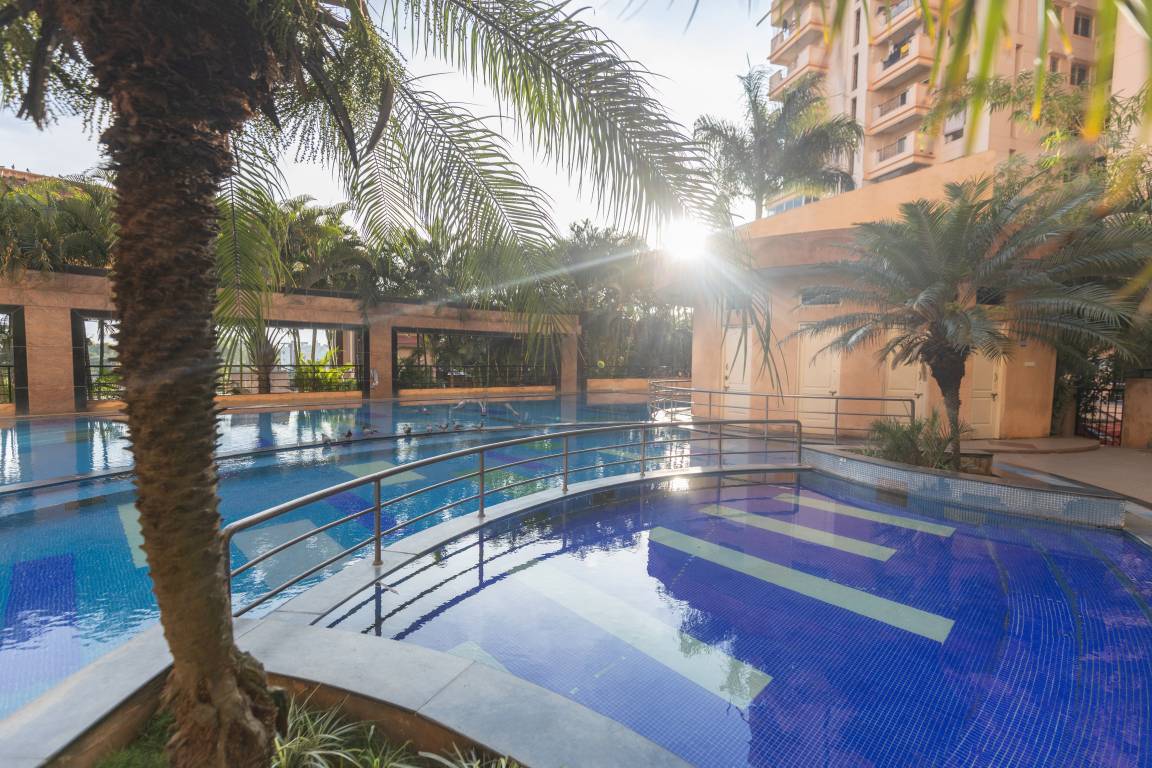  indigo Swimming Pool