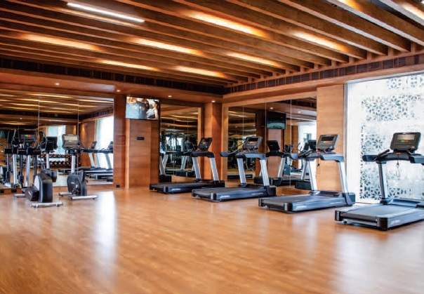  aanand vilas Gymnasium