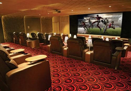  aanand-vilas Mini Theatre