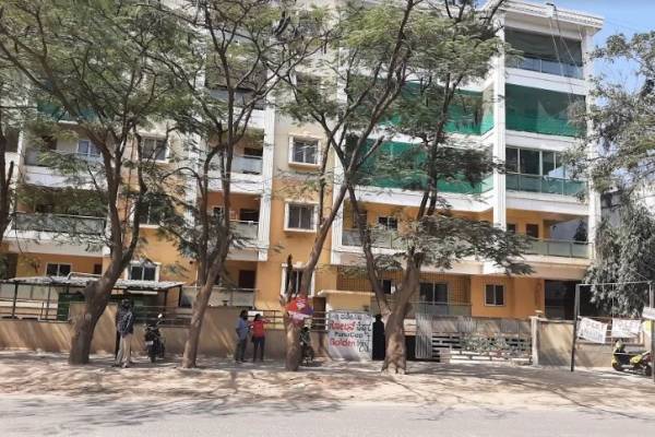  golden-nest Elevation