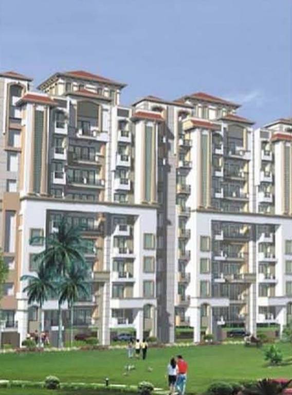 Images for Elevation of Avalon Homes