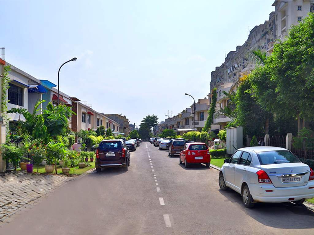  aaron ville Images for Elevation of SS Aaron Ville