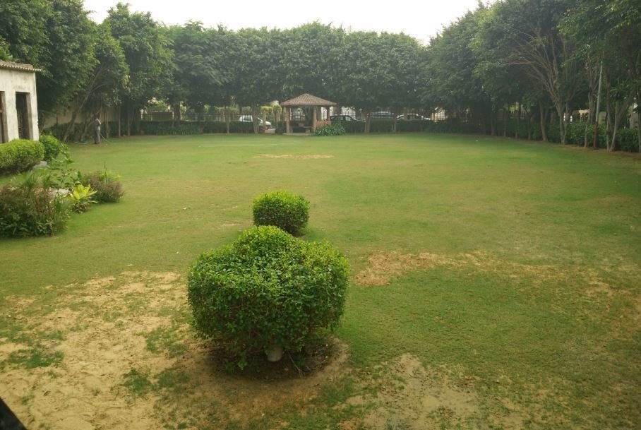  aaron ville Landscape Garden and Tree Planting