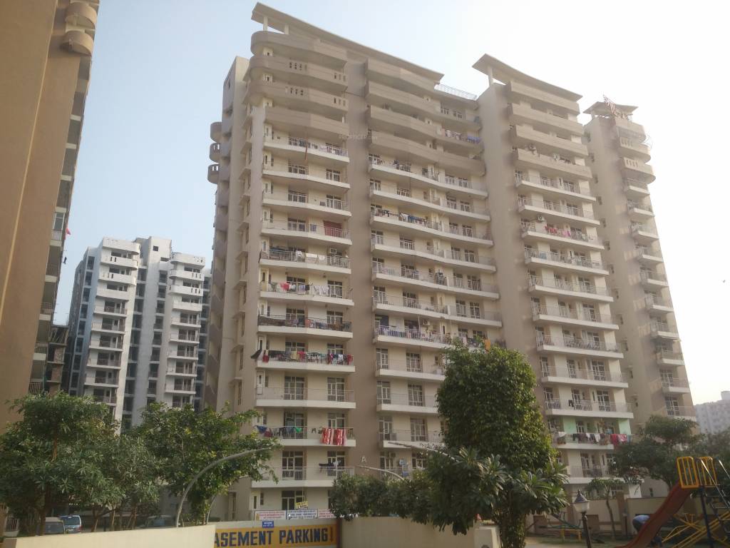  savy ville de Elevation