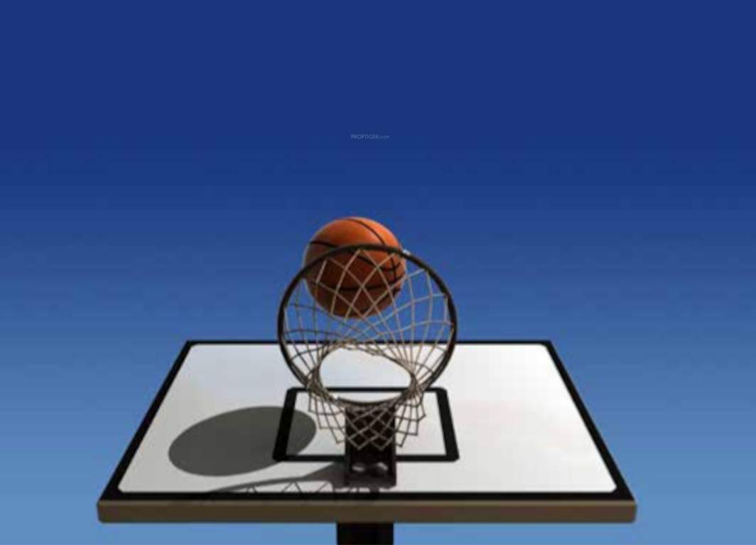  stone park Basketball Court