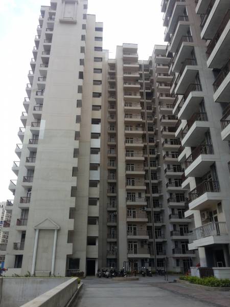  platinum-321 Images for Project