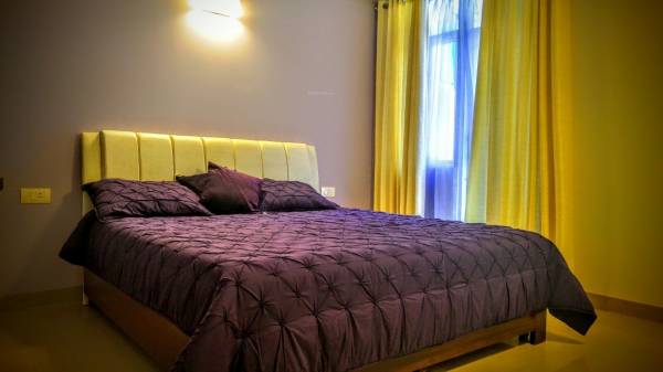 Images for Main Other of MR Platinum 321