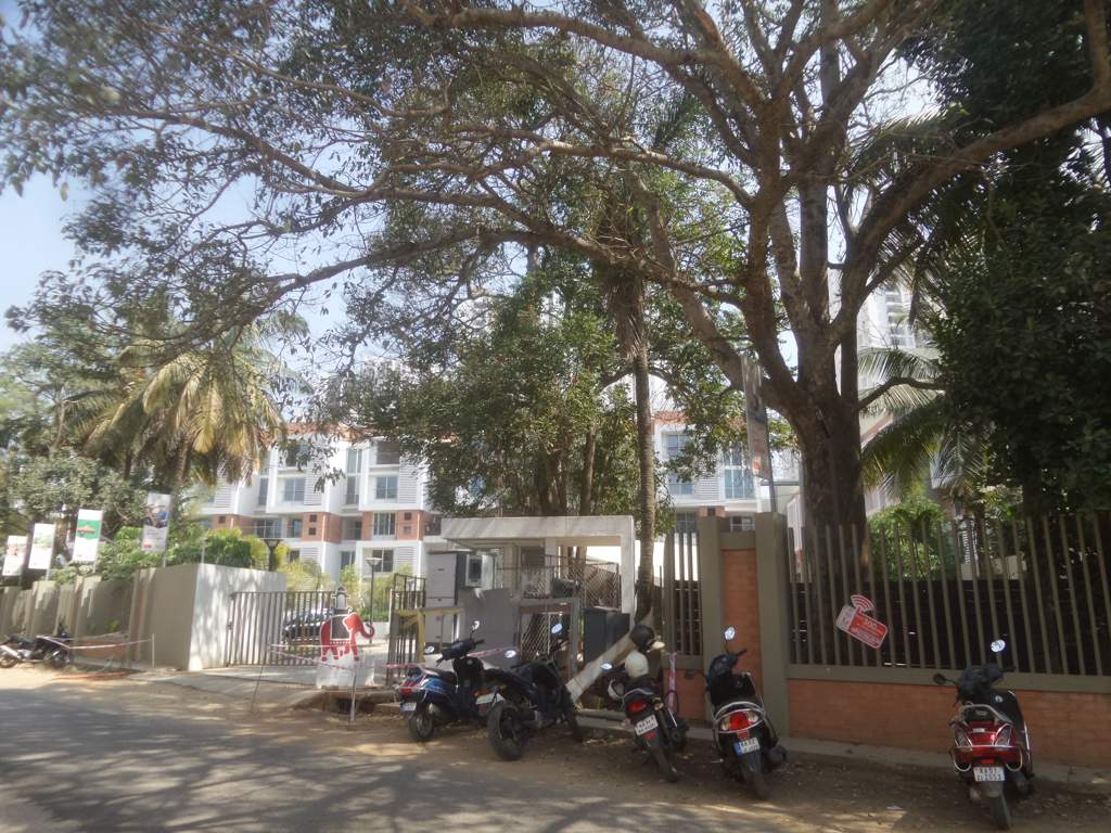 wilasa Images for Elevation of Pride Wilasa