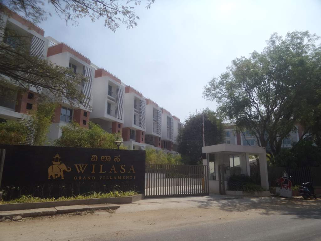 wilasa Images for Elevation of Pride Wilasa