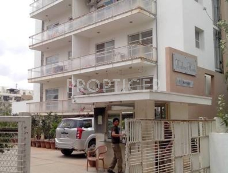  willow herbs Elevation