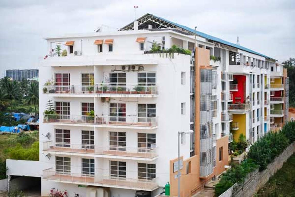  willow herbs Elevation