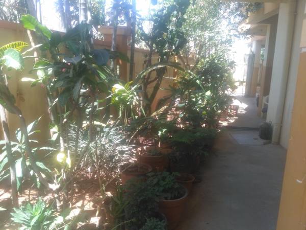 Landscaped Gardens starry Landscaped Gardens