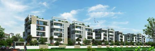 Images for Elevation of Saroj Dynasty dynasty Images for Elevation of Saroj Dynasty