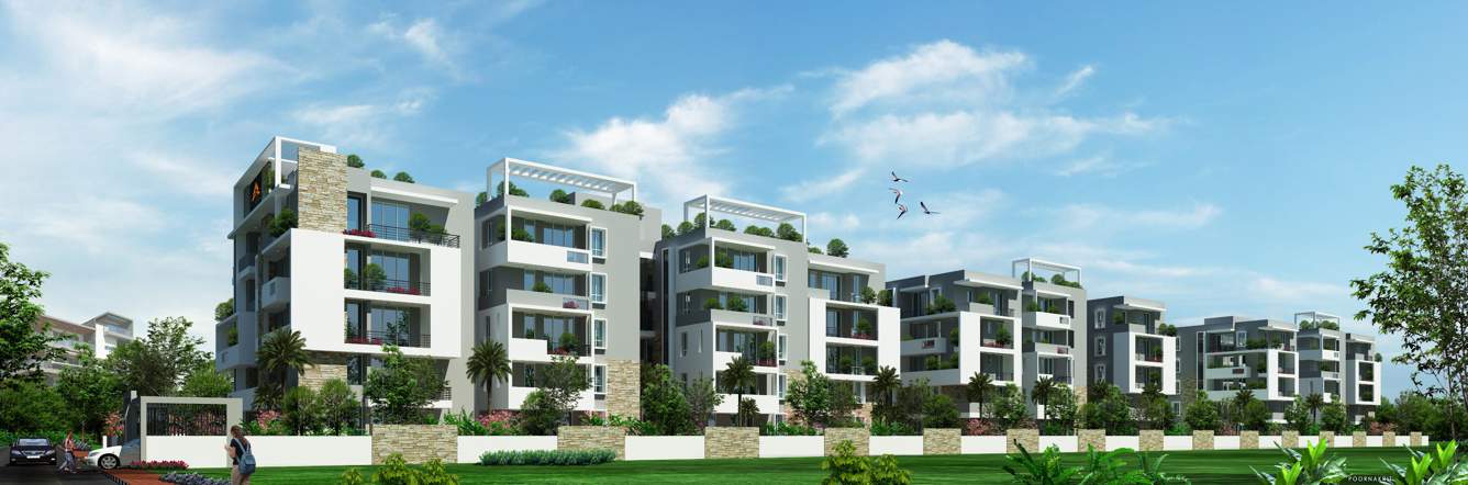  dynasty Images for Elevation of Saroj Dynasty