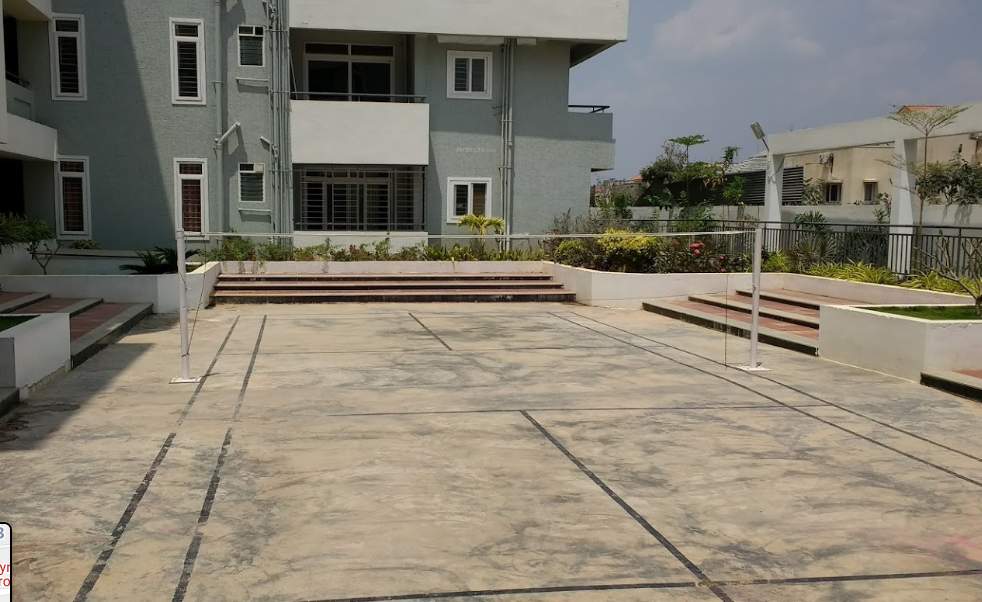  dynasty Badminton Court