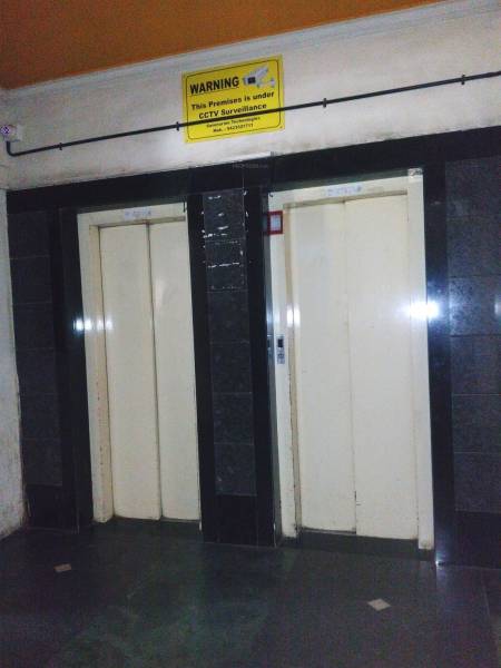 Lift Available foliage Lift Available