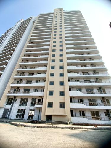  solitairian-city T1 Construction Status March-25