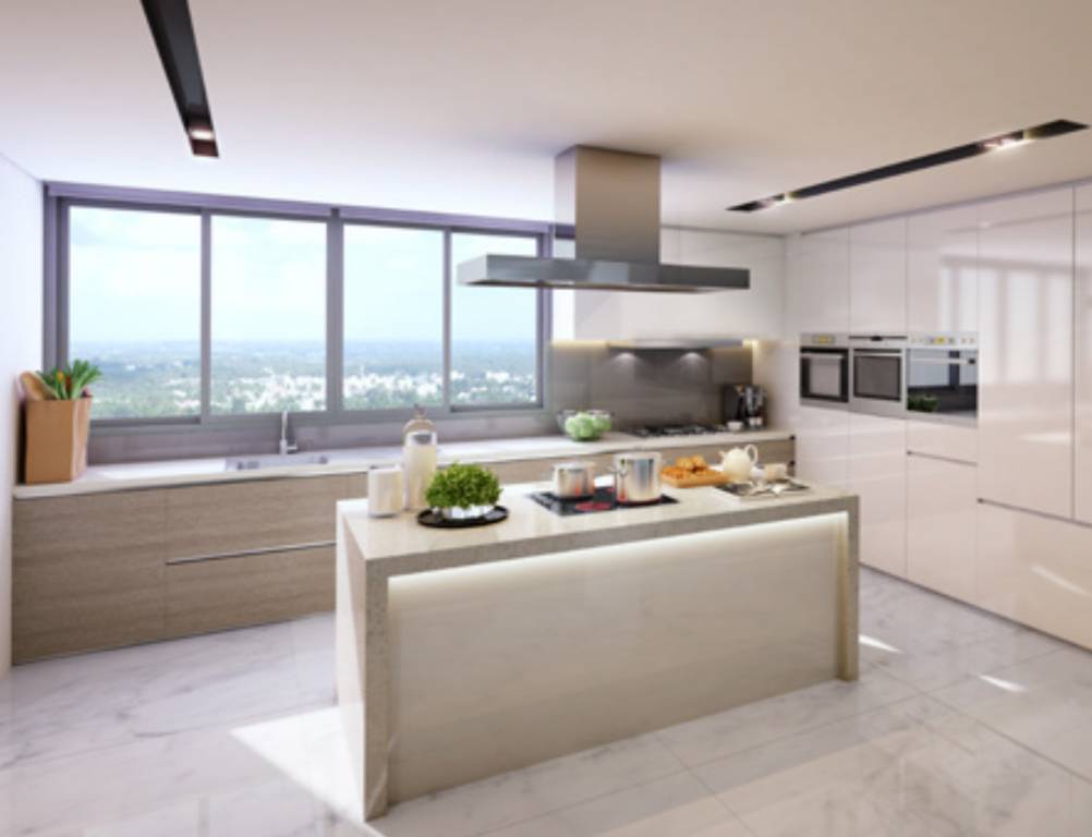 Images for Main Other of ABIL Clover Verde