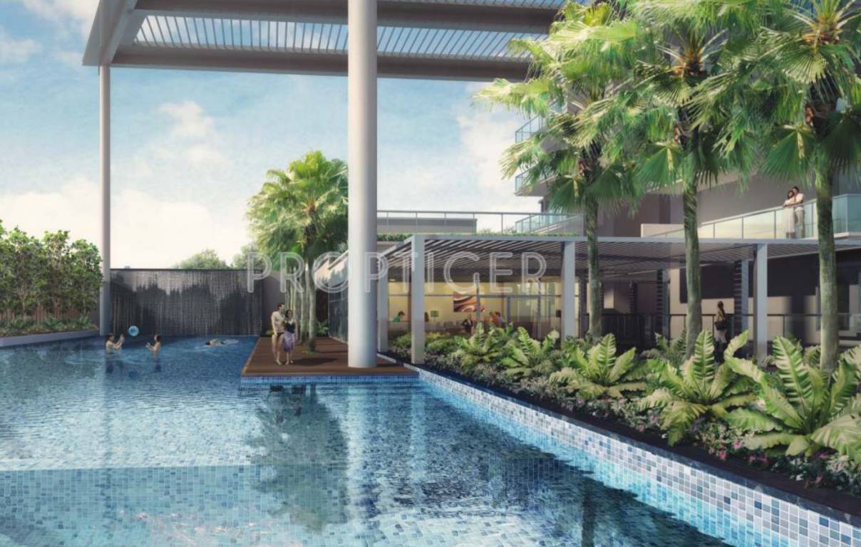 Images for Amenities of PRA The Cove