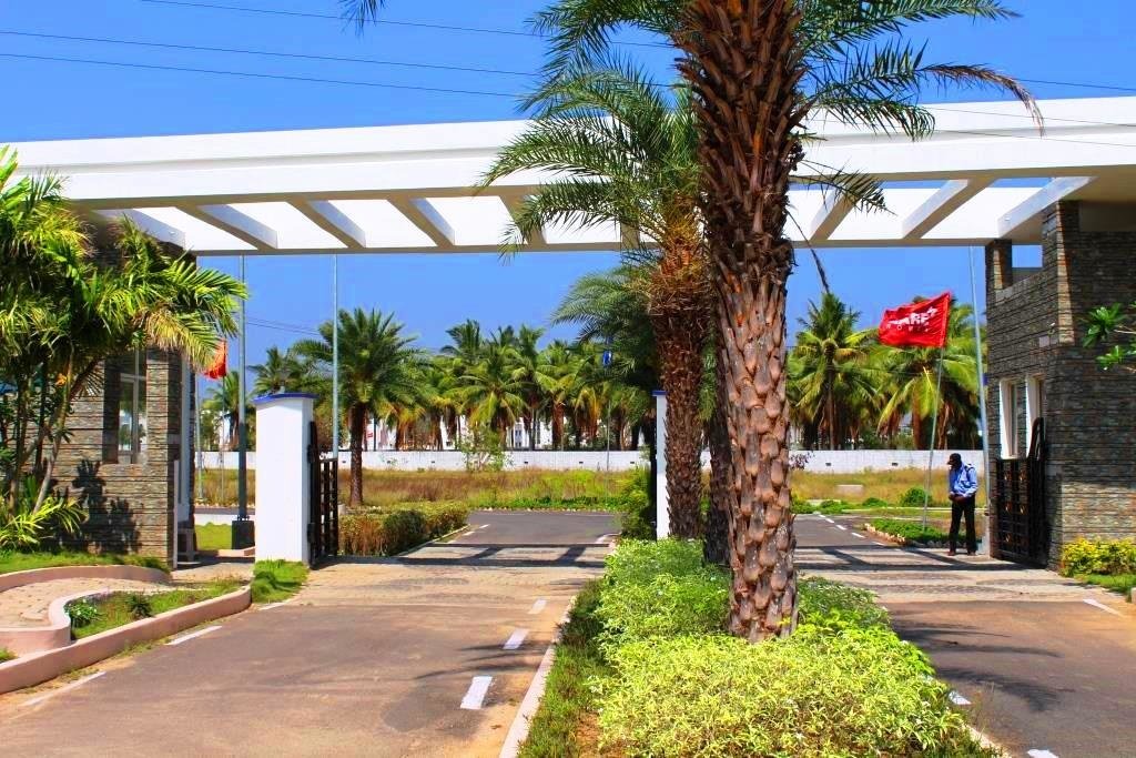 Sare MeadowVille Plots