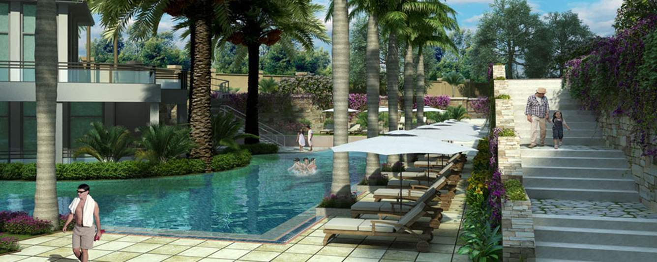 camellias Images for Amenities of DLF Camellias