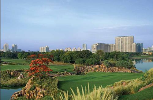 Landscape Garden and Tree Planting camellias Landscape Garden and Tree Planting