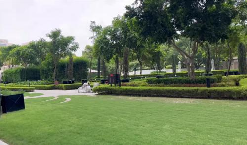 Landscape Garden and Tree Planting camellias Landscape Garden and Tree Planting