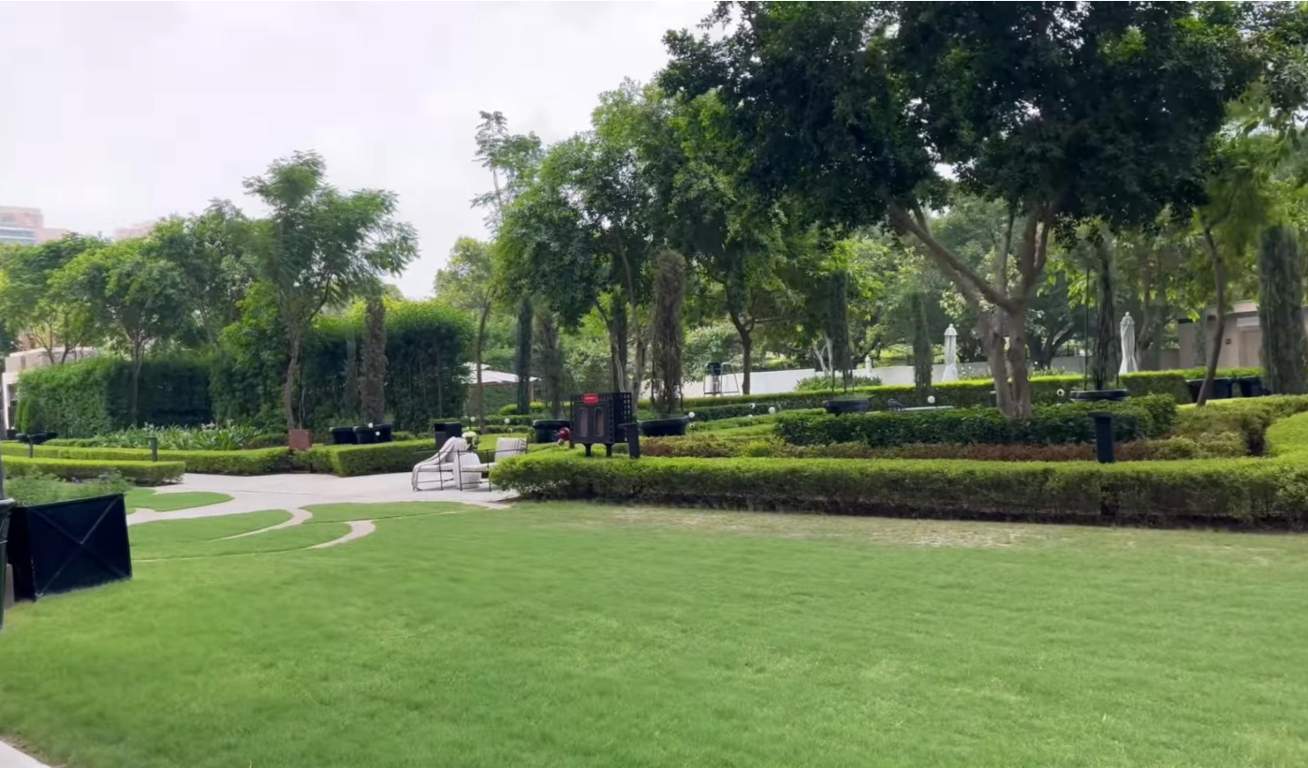 camellias Landscape Garden and Tree Planting