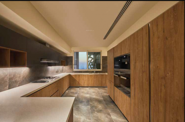 Kitchen camellias Kitchen