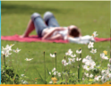 Images for amenities Images for amenities