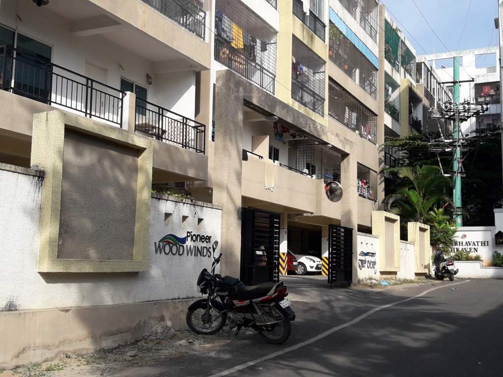  wood winds Elevation