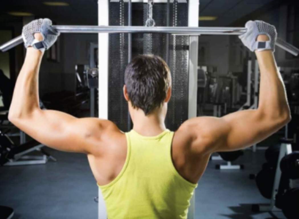  wood winds Gymnasium