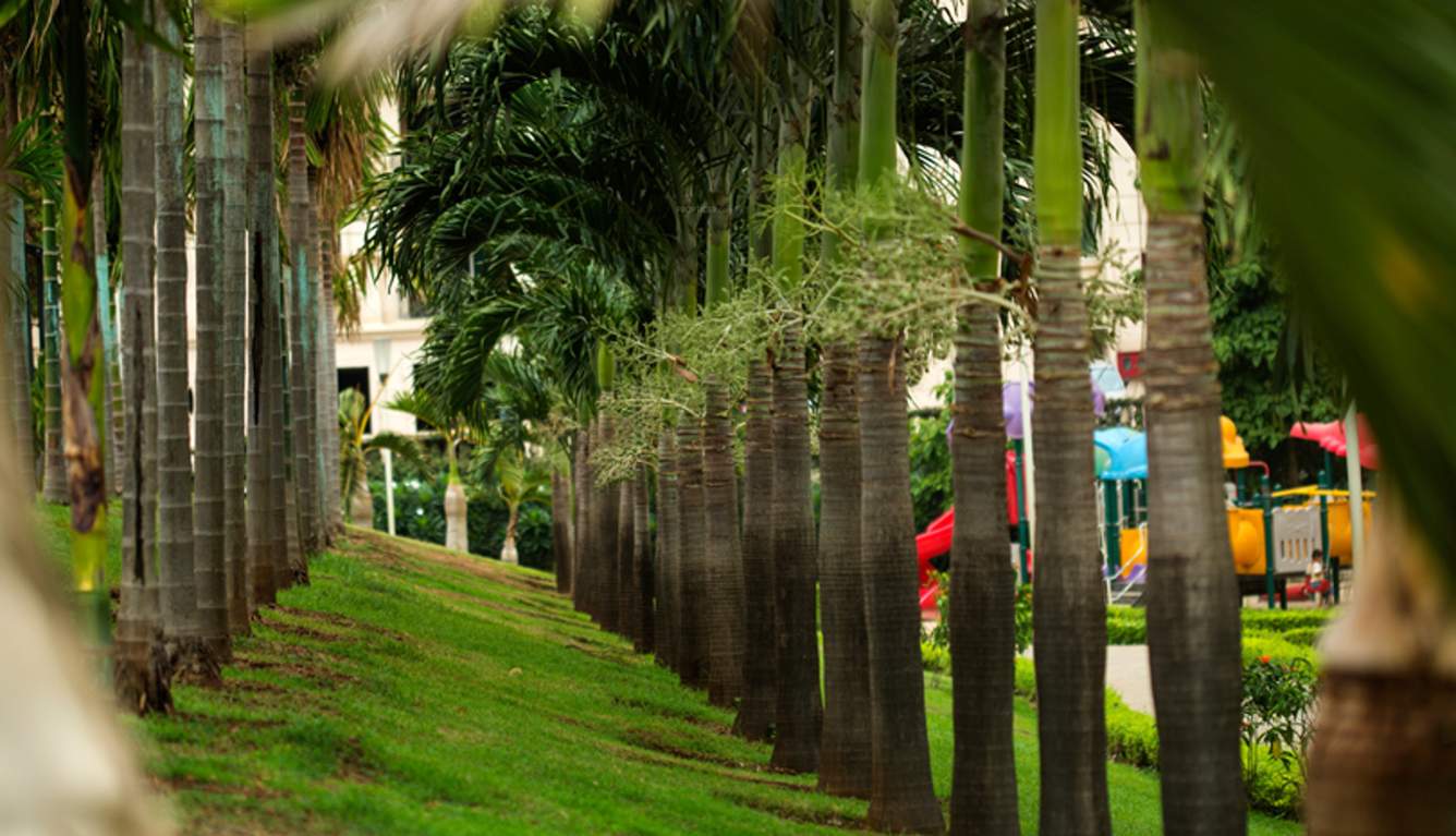  solitaire studio apartment Images for Amenities of Hiranandani Solitaire Studio Apartment