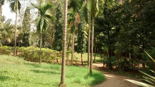  everest Landscape Garden and Tree Planting