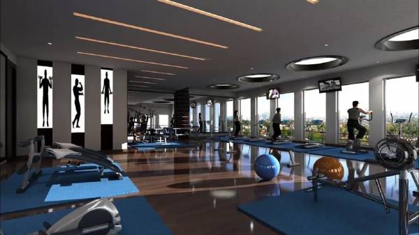 Gymnasium aurum Gymnasium