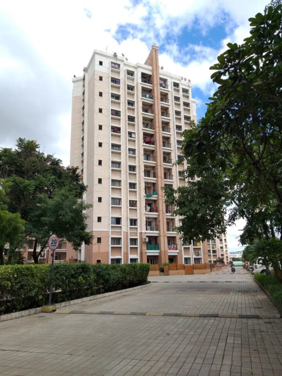  h and m royal Images for Project