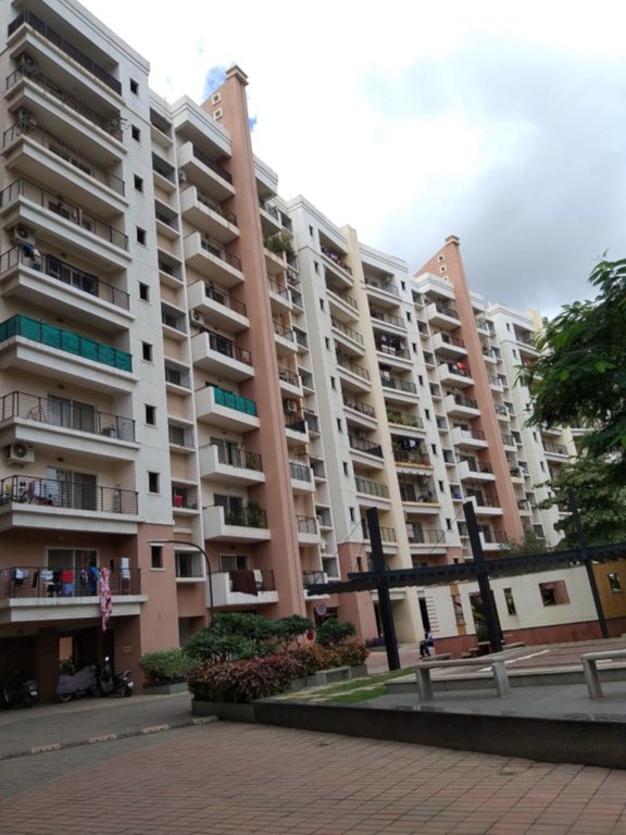  h and m royal Images for Project