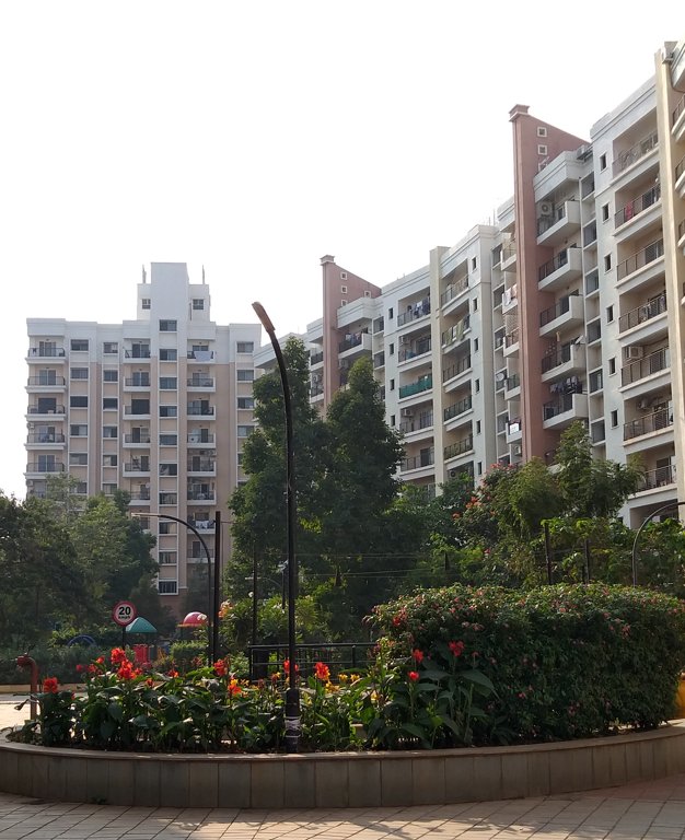  h and m royal Images for Project