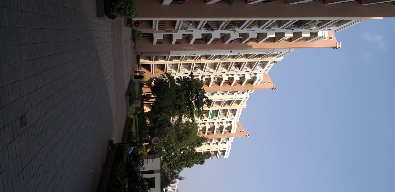  h and m royal Images for Project