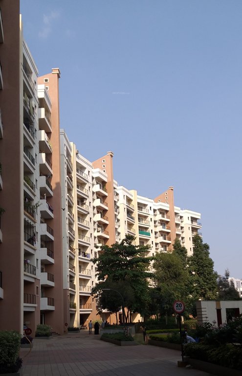  h and m royal Images for Project