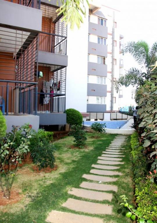 springwoods Elevation