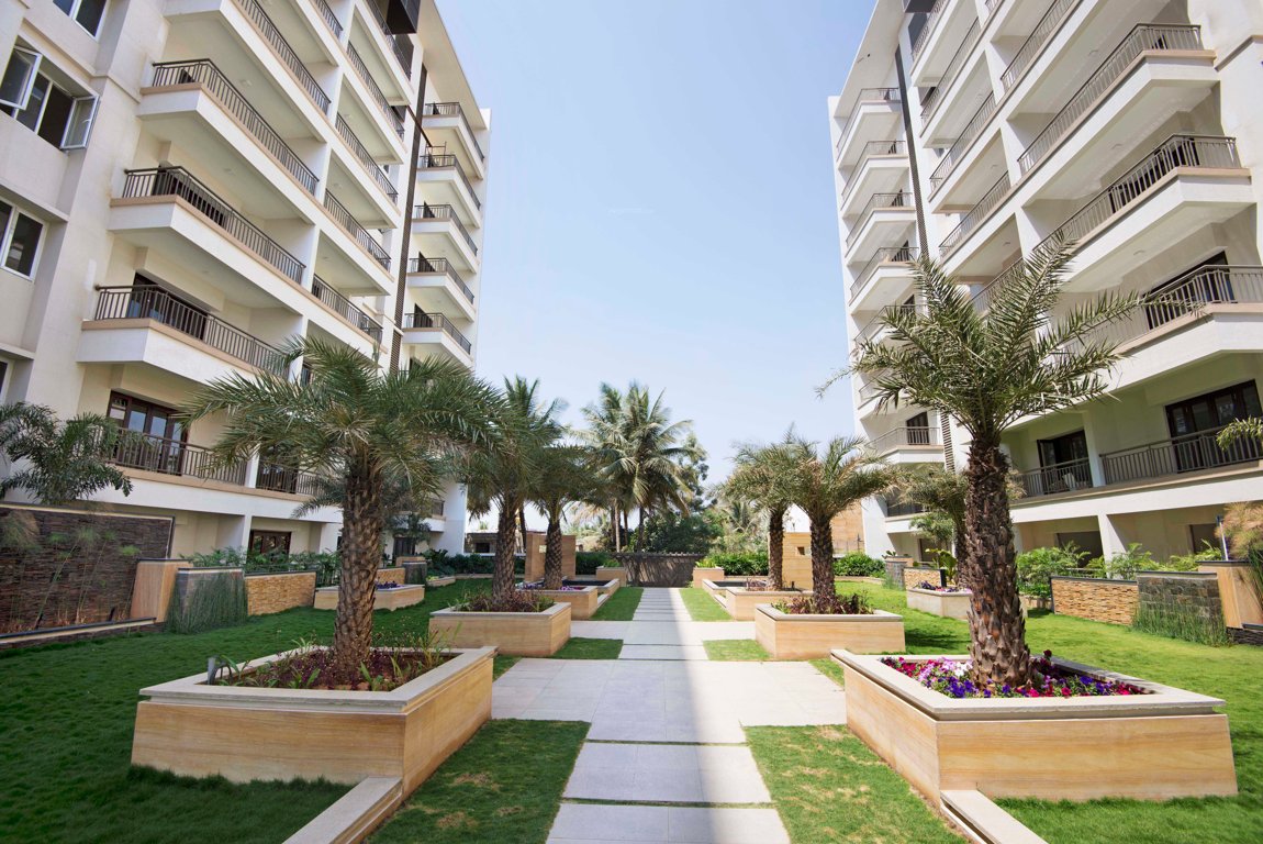 orchid gardenia Images for Elevation of NR Orchid Gardenia