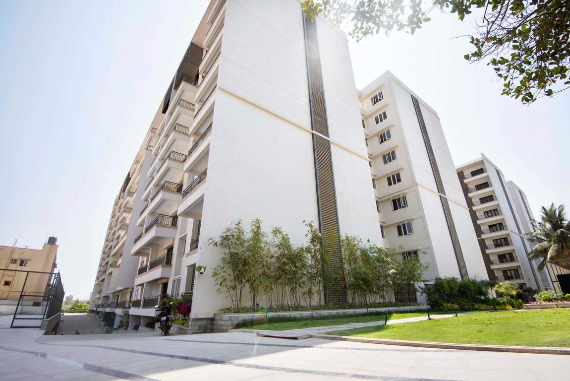 orchid gardenia Images for Elevation of NR Orchid Gardenia