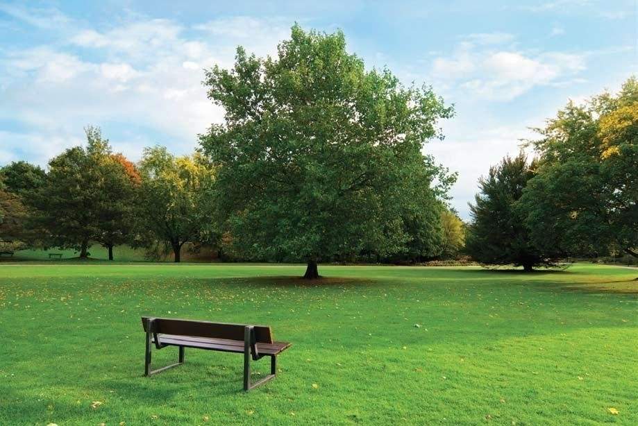  alpine Images for Amenities of Godrej Alpine
